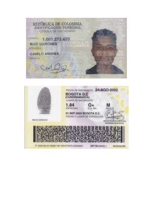 Cedula