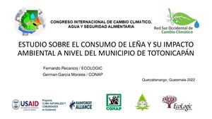 6. Estudio Leña Fernando Recancoj