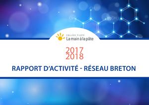 Rapport d'activité - Mpls Bretagne - Collèges Pilotes  2017 - 2018