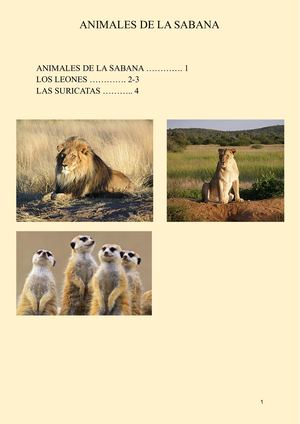 Animales de la sabana
