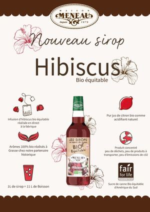 SIROP BIO EQUITABLE HIBISCUS