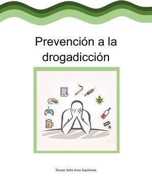 Prevencion A La Drogadiccion Docx