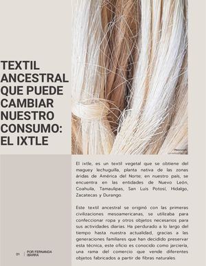 Textil ancestral que puede cambiar nuestro consumo: el ixtle