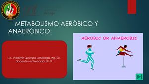 Metabolismo Aerobico Ana
