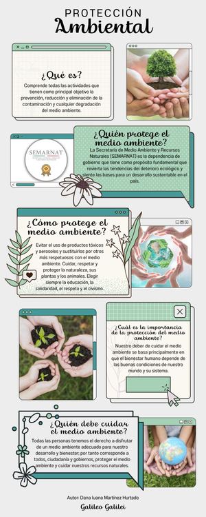 Infografia Evolucion Humana Ilustrado Colores Neutrales