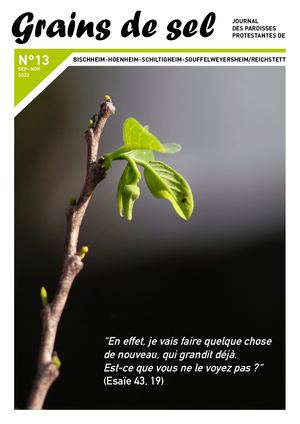 Grains De Sel N13 8p Copie