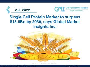 Single Cell Protein Market Size, Share, Demand, Outlook and Forecast by 2030