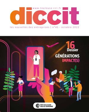 Diccit 45 Web