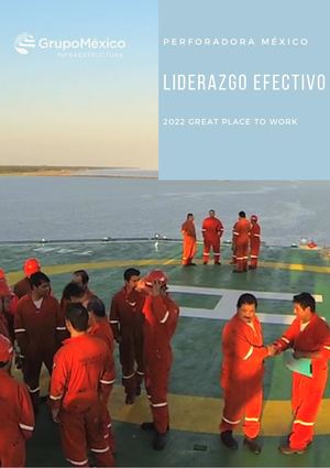 Liderazgo Efectivo-Pemsa