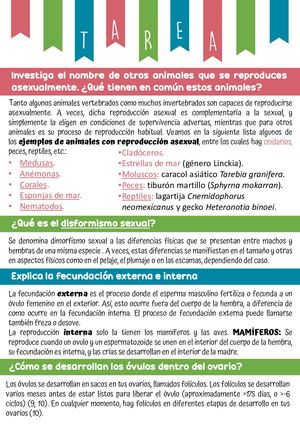 Cyt Reproducción, Disformismo, Libro,etc
