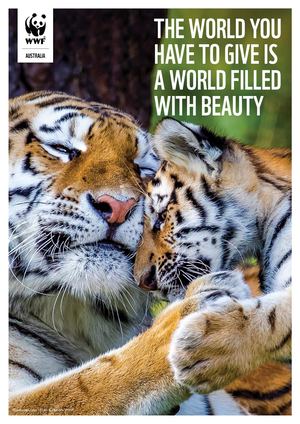 WWF Gifts in Wills Information Booklet