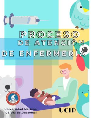 Proceso De Atención De Enfermería Informatica Final