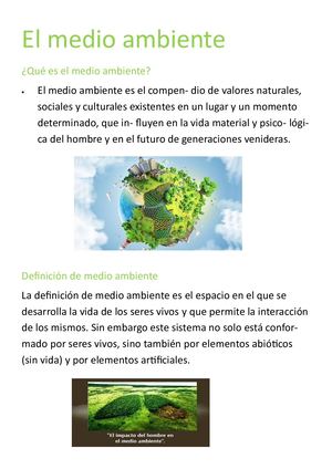 Luis David Magariño Sevillanos