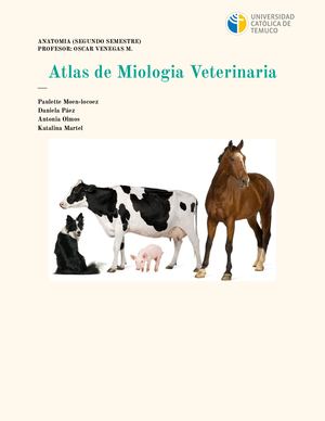 Atlas De Miologia Veterinaria