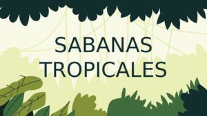 Sabana Tropical (1)