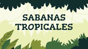 A SABANA TROPICAL
