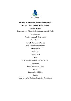 Informe De Lectura Sobre Los Componentes De La Práctica Docente