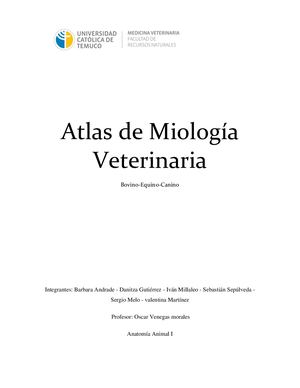 Atlas De Miologia Animal