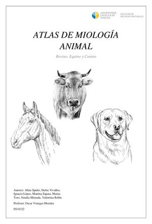 Atlas Miología Animal 2022 Uct