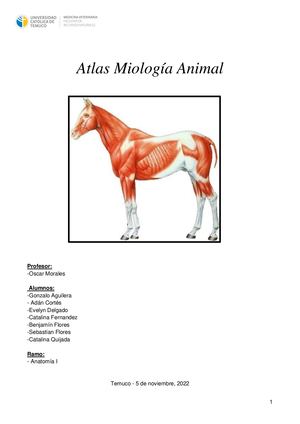 Atlas De Miología Animal
