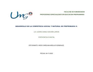 Portafolio Digital Medio Social 17