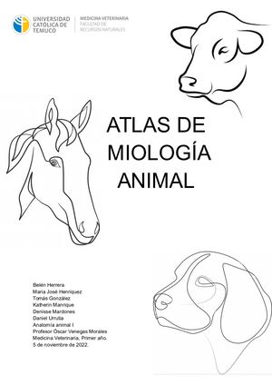 Atlas Anatomia Miologia