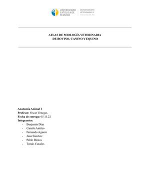 Atlas De Miologia Veterinaria (1)