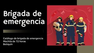 Catálogo Brigada De Emergencia
