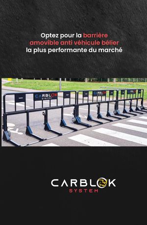 Plaquette planche Carblok System