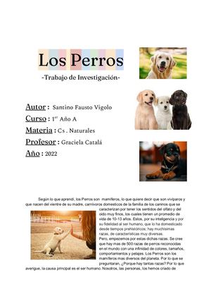 Los Perros Graciela