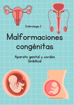 Malformaciones Congénitas Aparato Genital y Cordón Umbilical