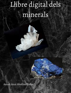 Llibre Digital Dels Minerals