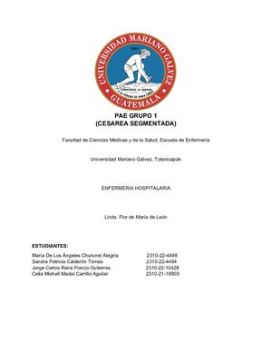 Pae Grupo 1 Hospitalario 2