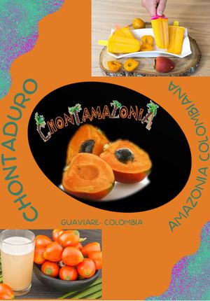 Soluciones Creativas Yury Andrea Barbosa Piragauta