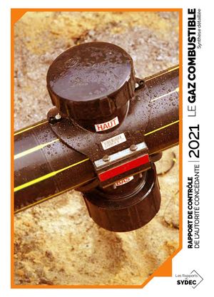 Rapport 2021// Synthèse détaillée Gaz combustible