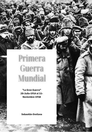 Primera Guerra Mundial Resumen