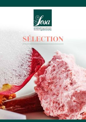 SOSA Katalog Selection 2022 DE