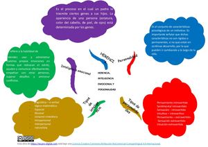 Mapa Mental Desarrollo Socio Emocional