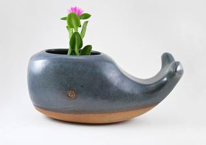 Imagen Maceta Ballena