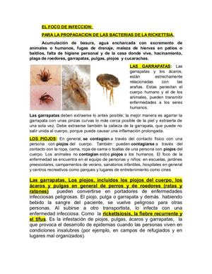 El Foco De Infeccion