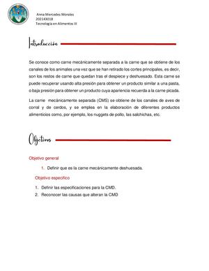 Carne Mecánicamente Deshuesada