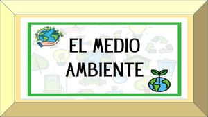 El Medio Ambiente