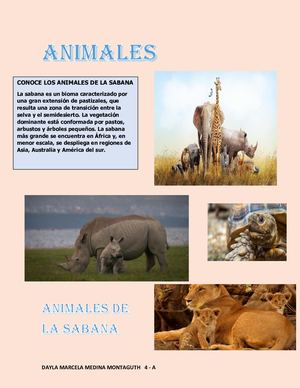 Revista Dayla Marcela Medina Montaguth 4 A