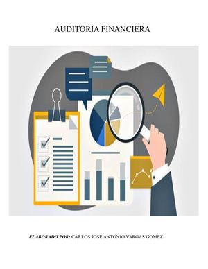 AUDITORIA DE CUENTAS POR PAGAR