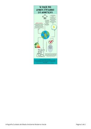Infografía Cuidado Del Medio Ambiente Moderno Verde