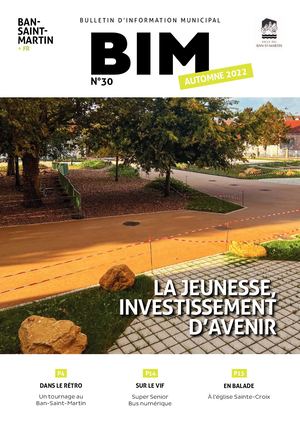 Bansaintmartin Bim30 V2