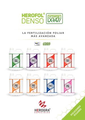 Diseño Editorial - Dossier