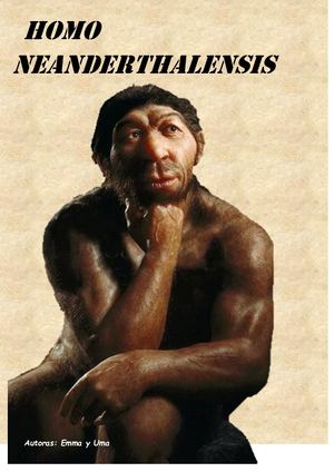 Homo Neanderthalensis
