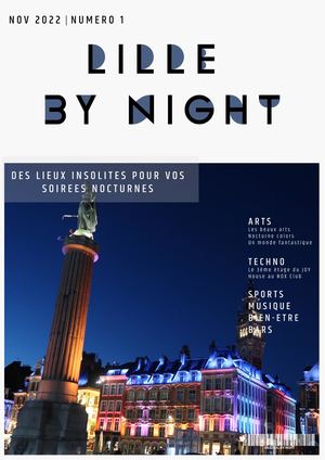 Lille By Night