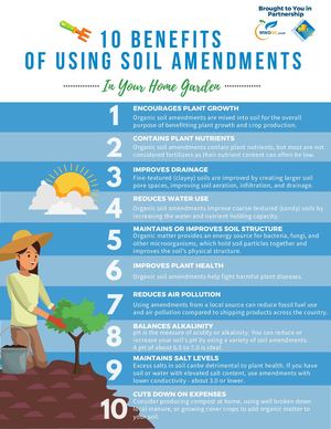 10 Benefits Of Using Soil Amendments